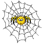:spider: